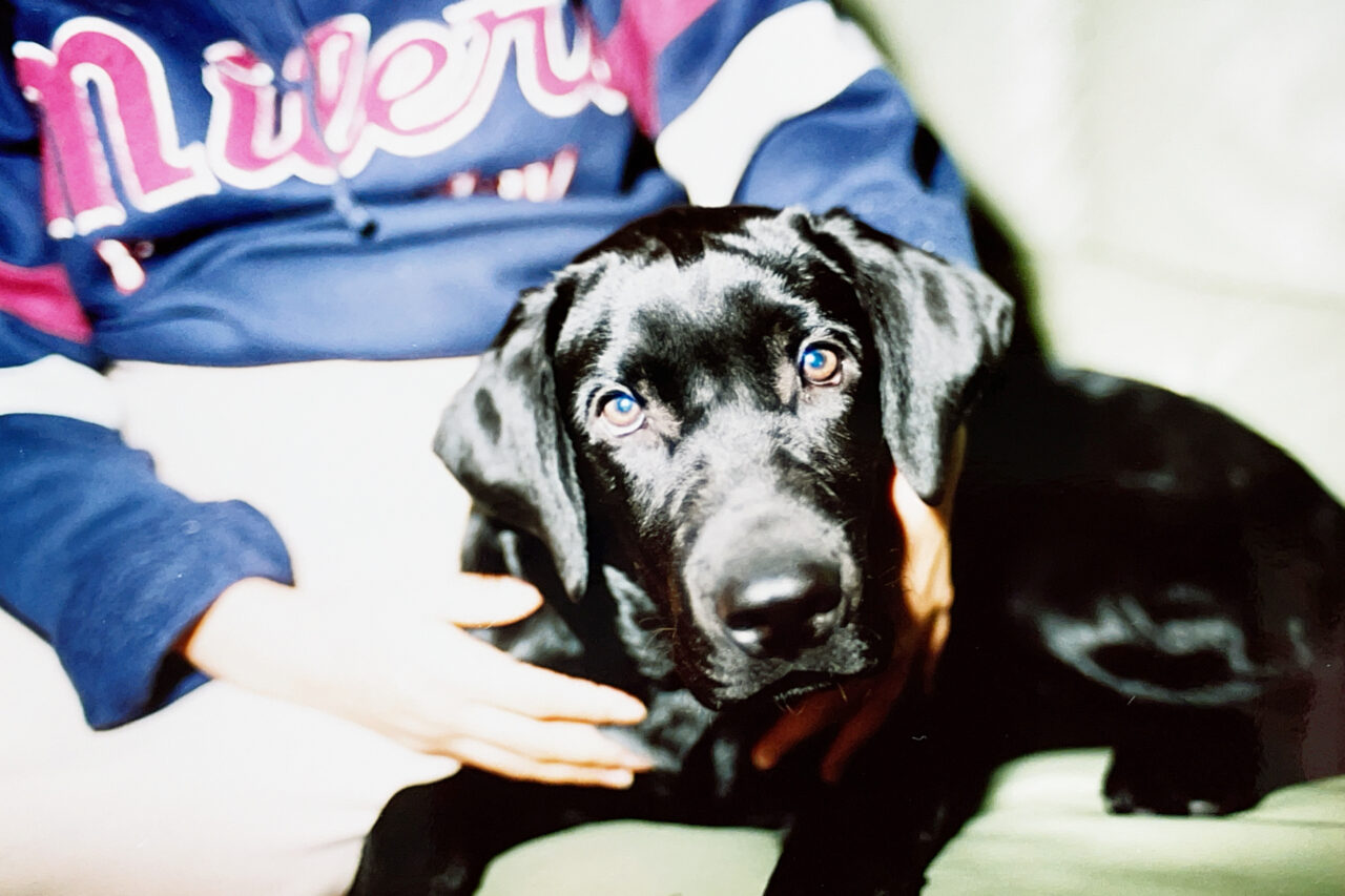 デジタル化した昔の家族写真の例